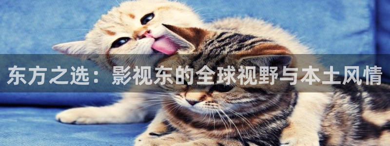 国产宅男视频：东方之选：影视东的全球视野与本土风情