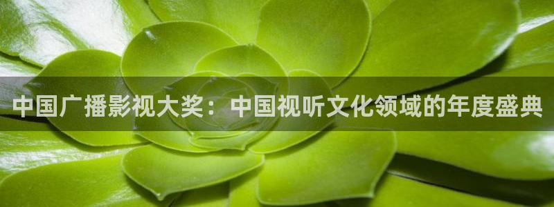 宅男视频色版在线观看：中国广播影视大奖：中国视听文化领域的年度盛典