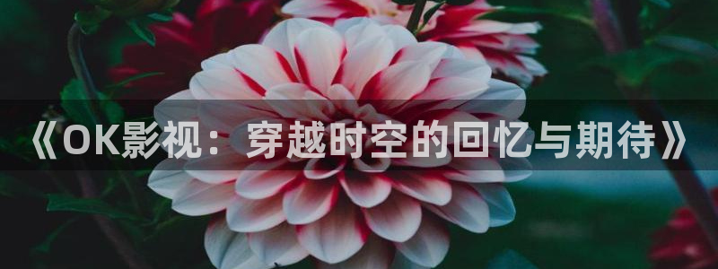 宅男视频com