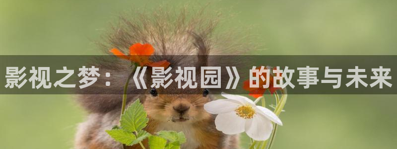 国产宅男视频免费在线观看