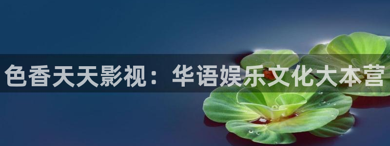 宅男视频导航大全