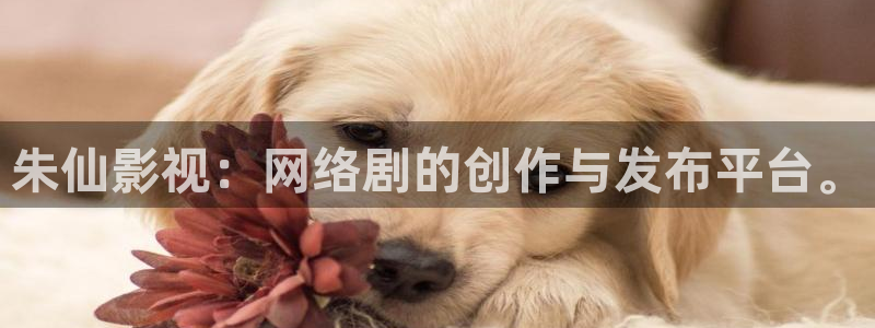 宅男视频色版