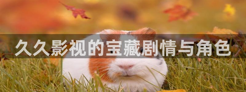 午夜宅男视频免费在线观看